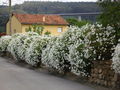 Santiago del Monte